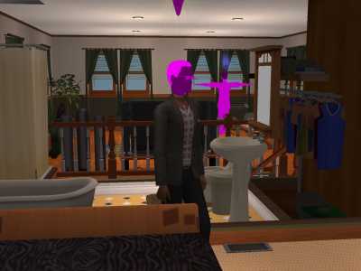 How to Play The Sims 2 on Windows 10: Fix Crashes and Pink Flashing