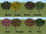 Recolourable Breadfruit Tree Screenshot