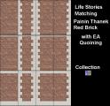 Life Stories Bricks with Quoining Screenshot